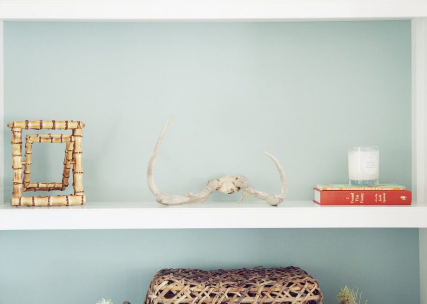 Little Details, Personalized Touch, Antlers, Books, Texture
